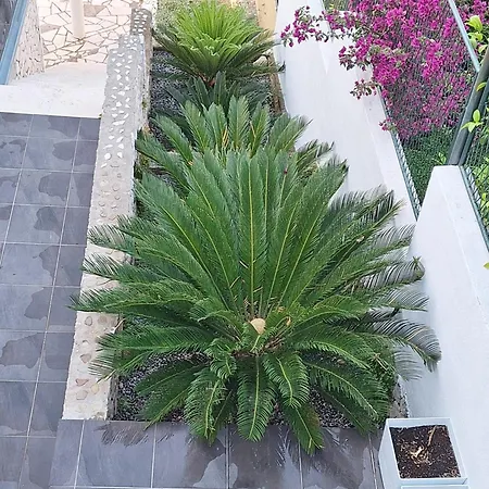 Holiday home Ciovo Trogir